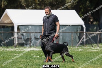 IMG_6467.jpg