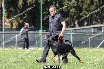 IMG_6481.jpg