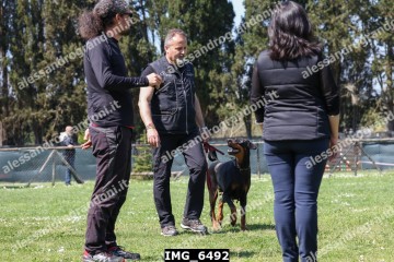 IMG_6492.jpg