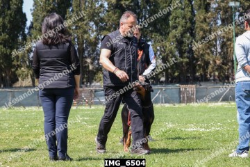 IMG_6504.jpg