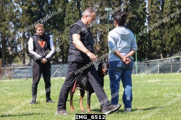 IMG_6512.jpg