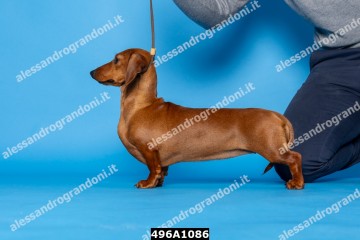 496A1086.jpg