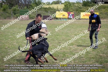 IMG9_21A0108.jpg