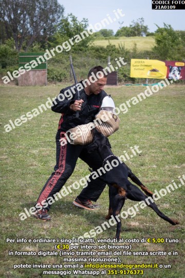 IMG9_21A0109.jpg