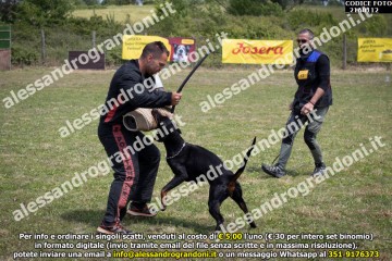 IMG9_21A0112.jpg