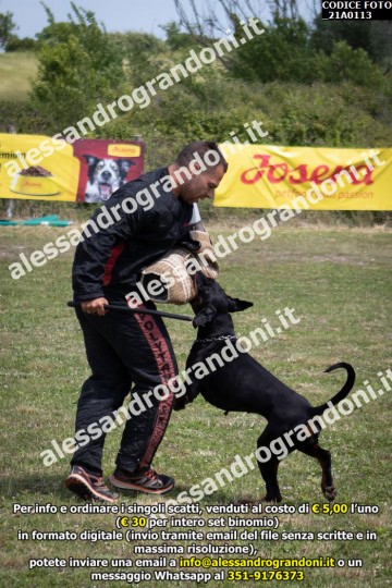 IMG9_21A0113.jpg