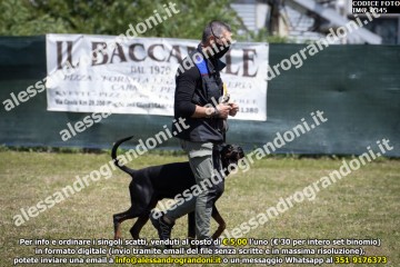 IMG_0345.jpg