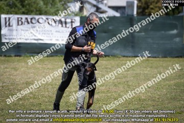 IMG_0348.jpg