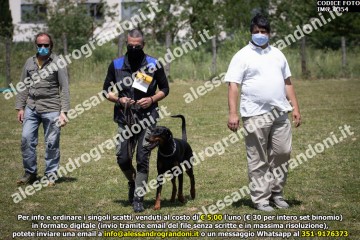IMG_0354.jpg