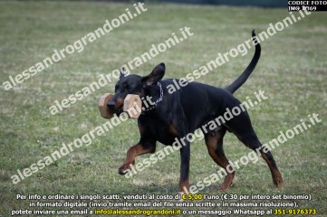 IMG_0369.jpg