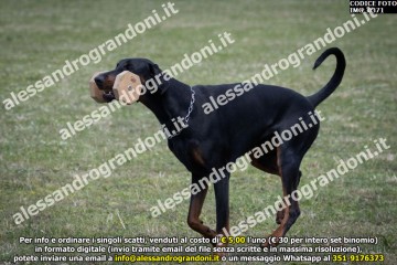 IMG_0371.jpg
