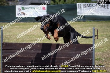 IMG_0379.jpg