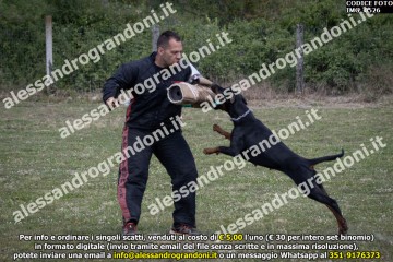 IMG_0526.jpg