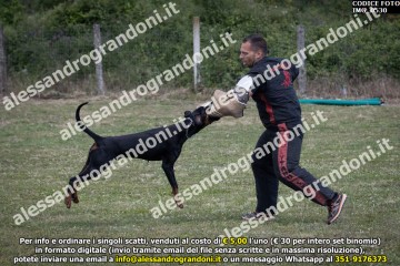 IMG_0530.jpg