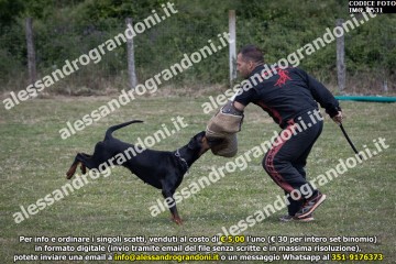 IMG_0531.jpg