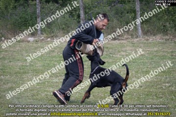 IMG_0534.jpg