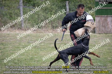 IMG_0547.jpg