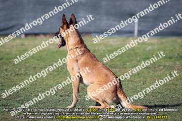 496A1718.jpg