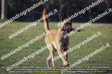 496A1733.jpg