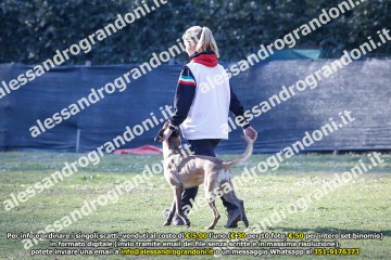 _21A0849.jpg
