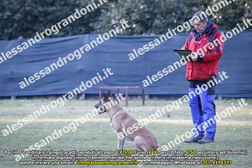 _21A0904.jpg