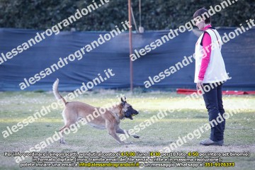 _21A0915.jpg