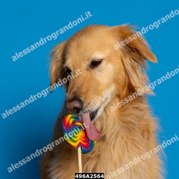 496A2564.jpg