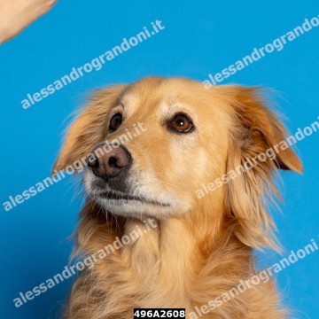 496A2608.jpg