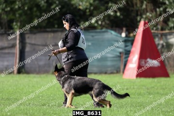 IMG_8631.jpg