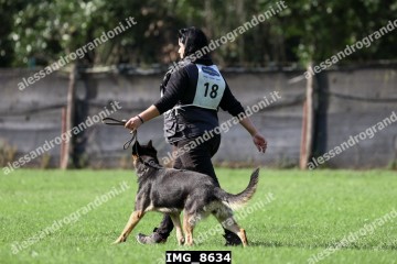 IMG_8634.jpg