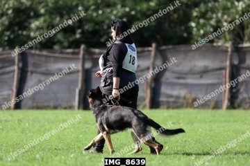 IMG_8639.jpg