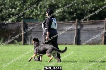 IMG_8643.jpg