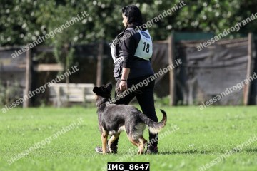 IMG_8647.jpg