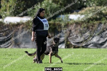 IMG_8656.jpg
