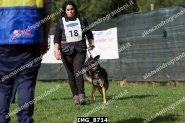 IMG_8714.jpg