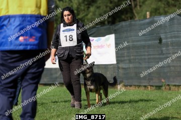 IMG_8717.jpg