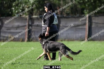 IMG_8740.jpg