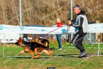 _N5A0116.jpg