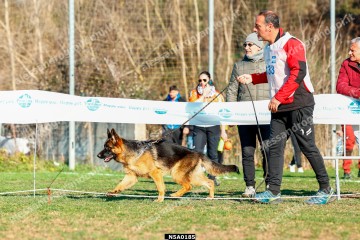 _N5A0185.jpg