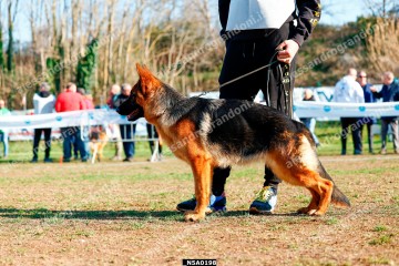 _N5A0198.jpg