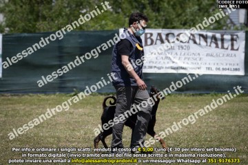 IMG_0451.jpg