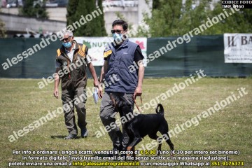 IMG_0460.jpg