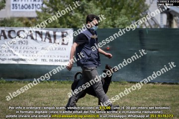 IMG_0468.jpg