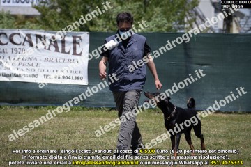 IMG_0469.jpg