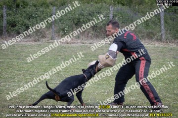 IMG_0610.jpg