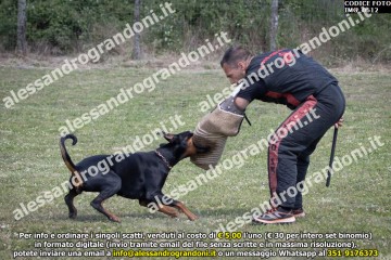 IMG_0612.jpg
