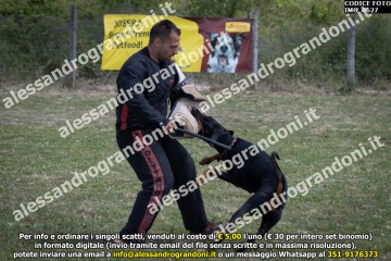 IMG_0627.jpg