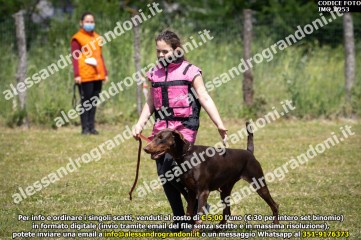IMG_0253.jpg