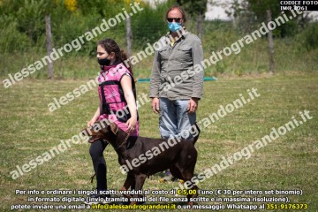 IMG_0261.jpg