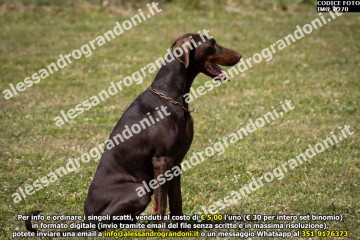 IMG_0270.jpg
